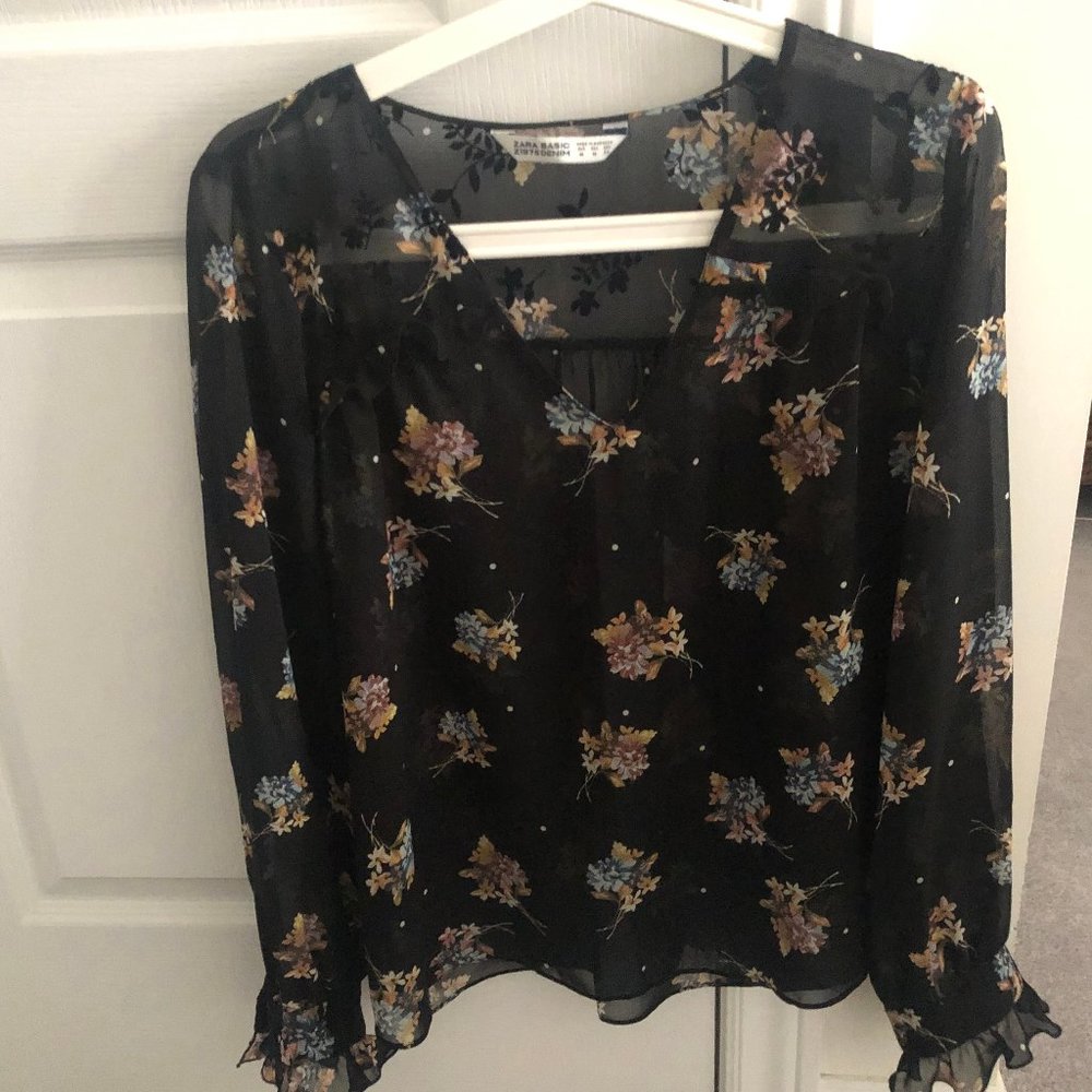 Zara Sheer Blouse